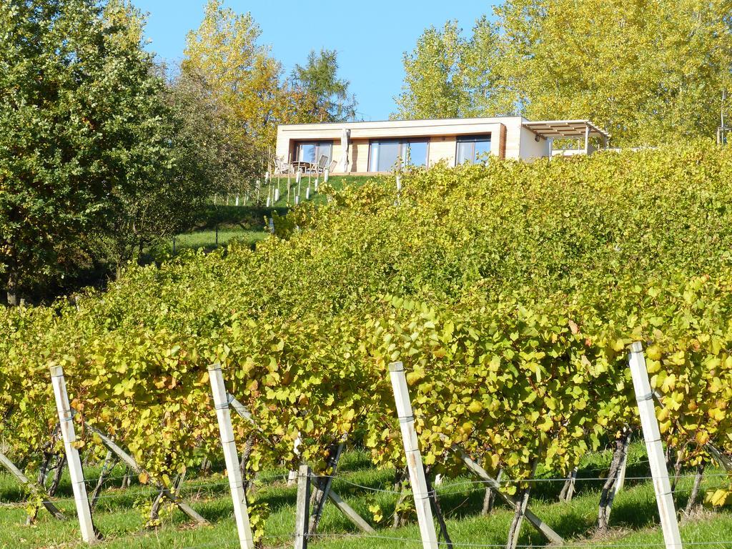 Weingarten-Resort Unterlamm Loipersdorf - Adults Only Екстериор снимка