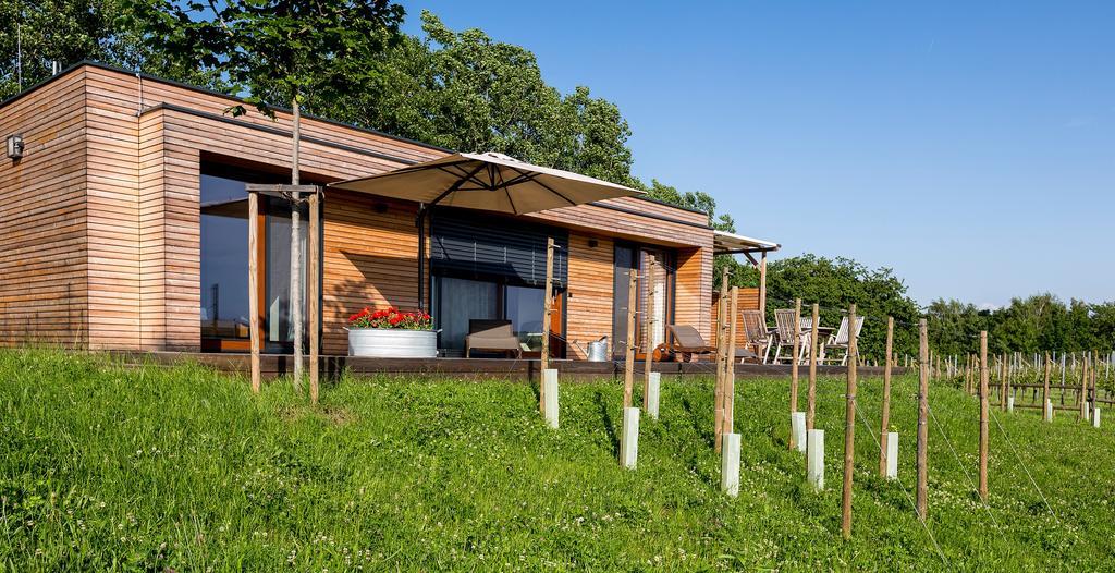 Weingarten-Resort Unterlamm Loipersdorf - Adults Only Екстериор снимка